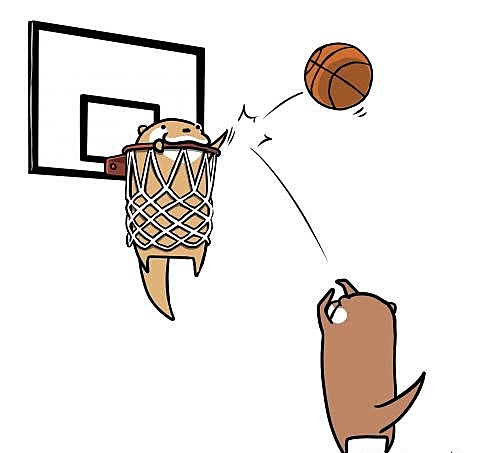 初心者スポーツさーくる(チベスナ)🏀🦊