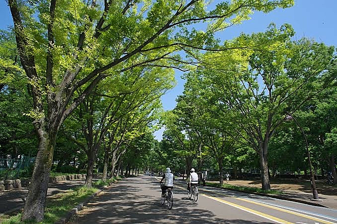 朝散歩@駒沢公園