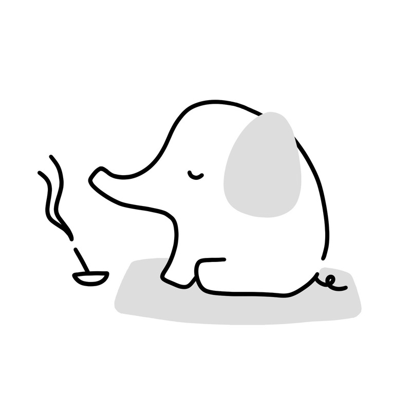 ととのい【自然さんぽサークル】🧘🍀🍵☀️