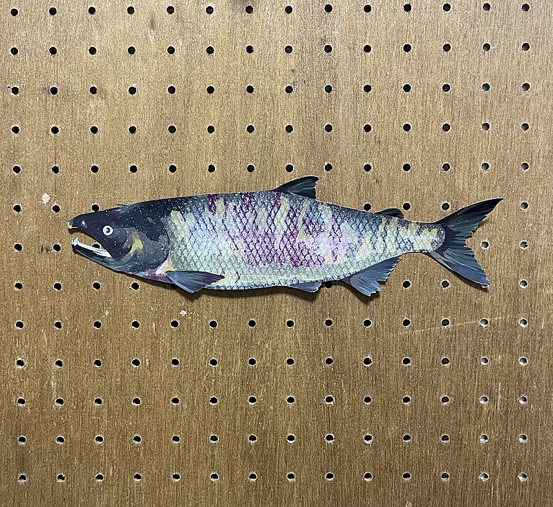 海と人をアートで繋ぐ