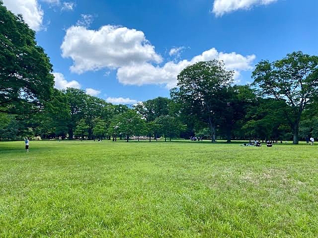 代々木公園お散歩/ダイエット