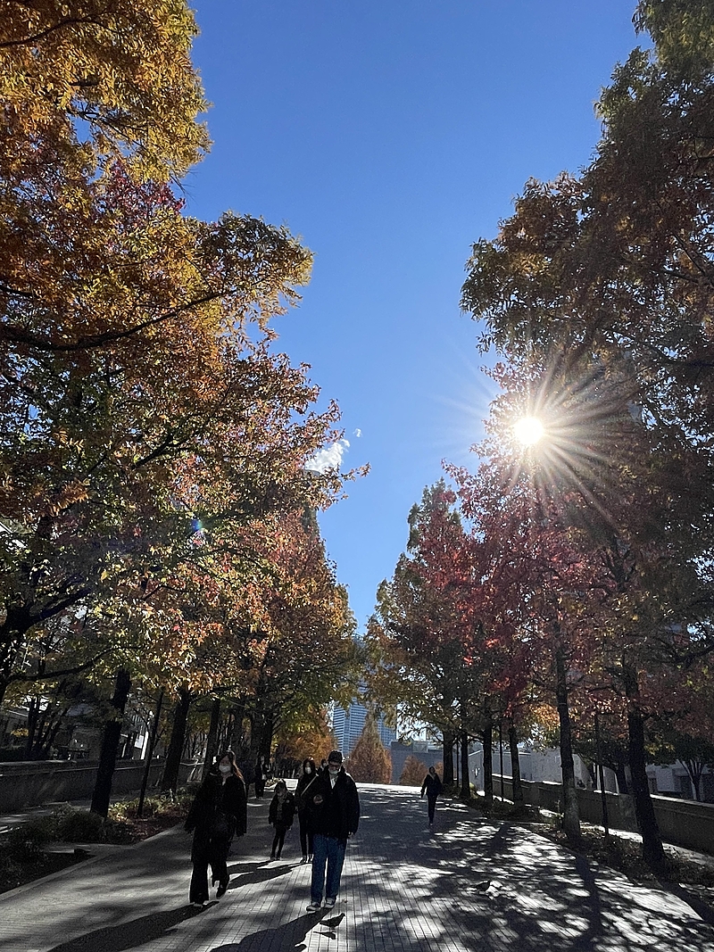 20代の集い