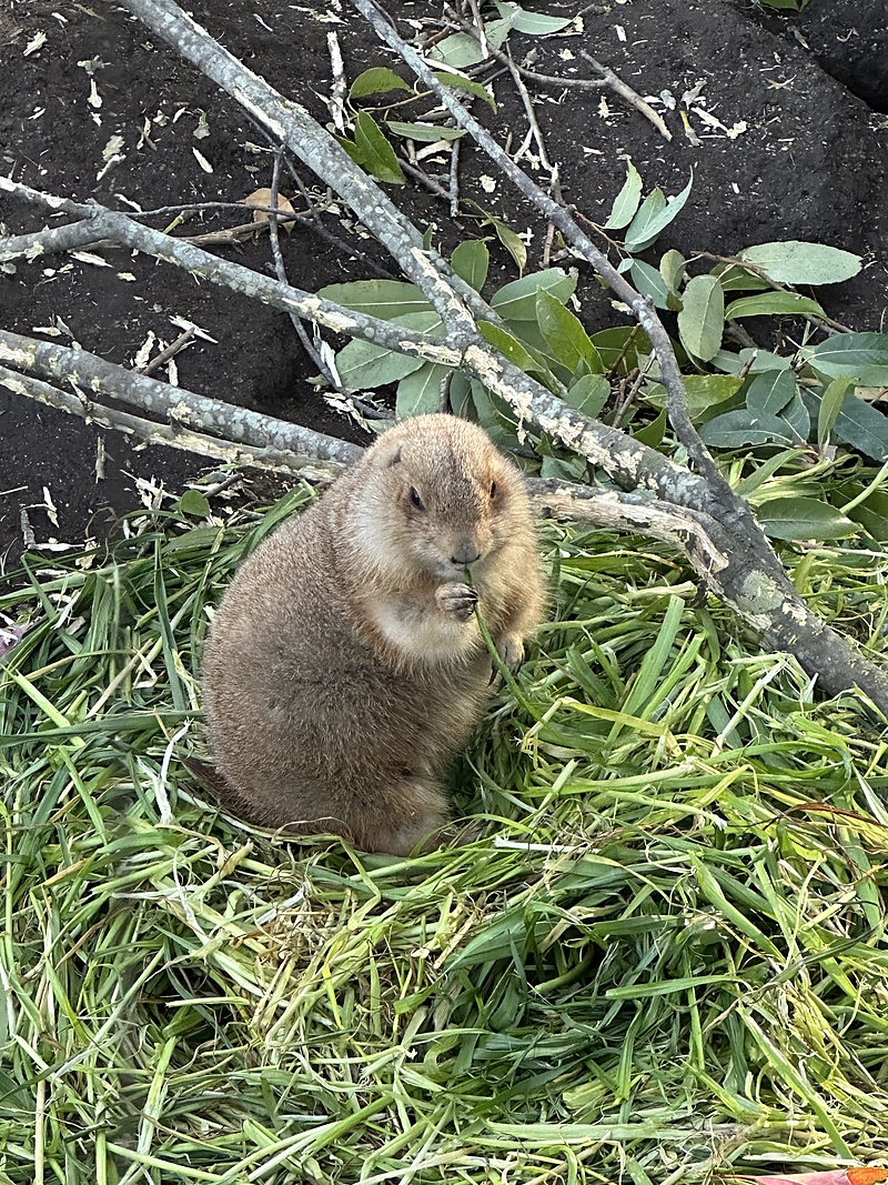 ワクワクの会