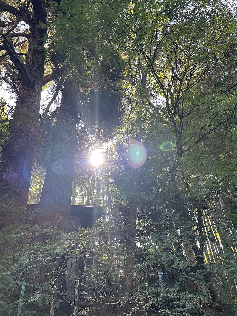 なんでもし隊💫
