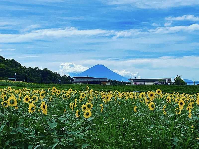 どっかいきたい٩( ᐛ )و