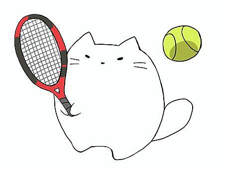 【福岡天神/博多】硬式テニスサークル。助けてください。
