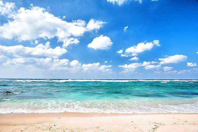 海辺で酒盛りをする会