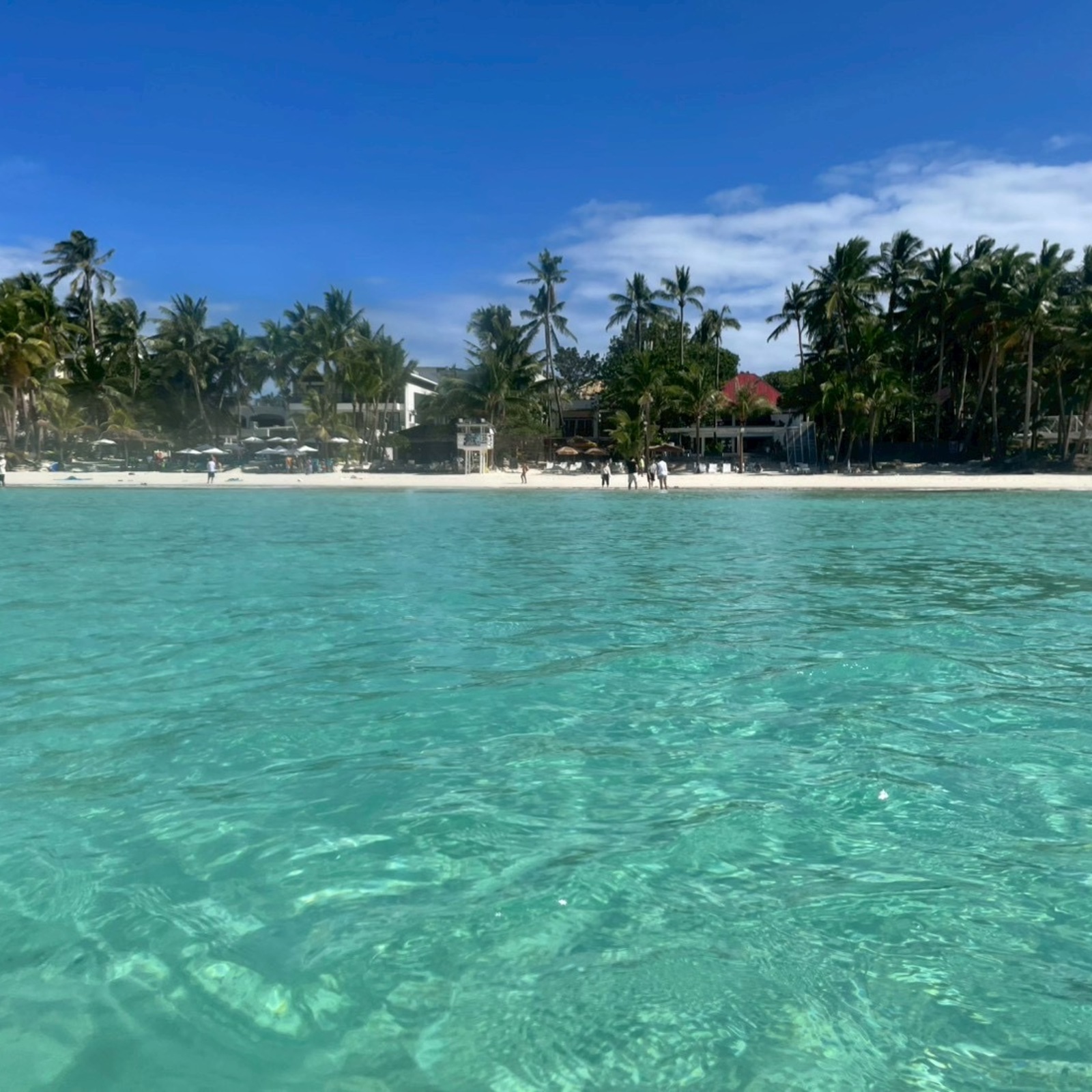 名古屋わいわいイベント