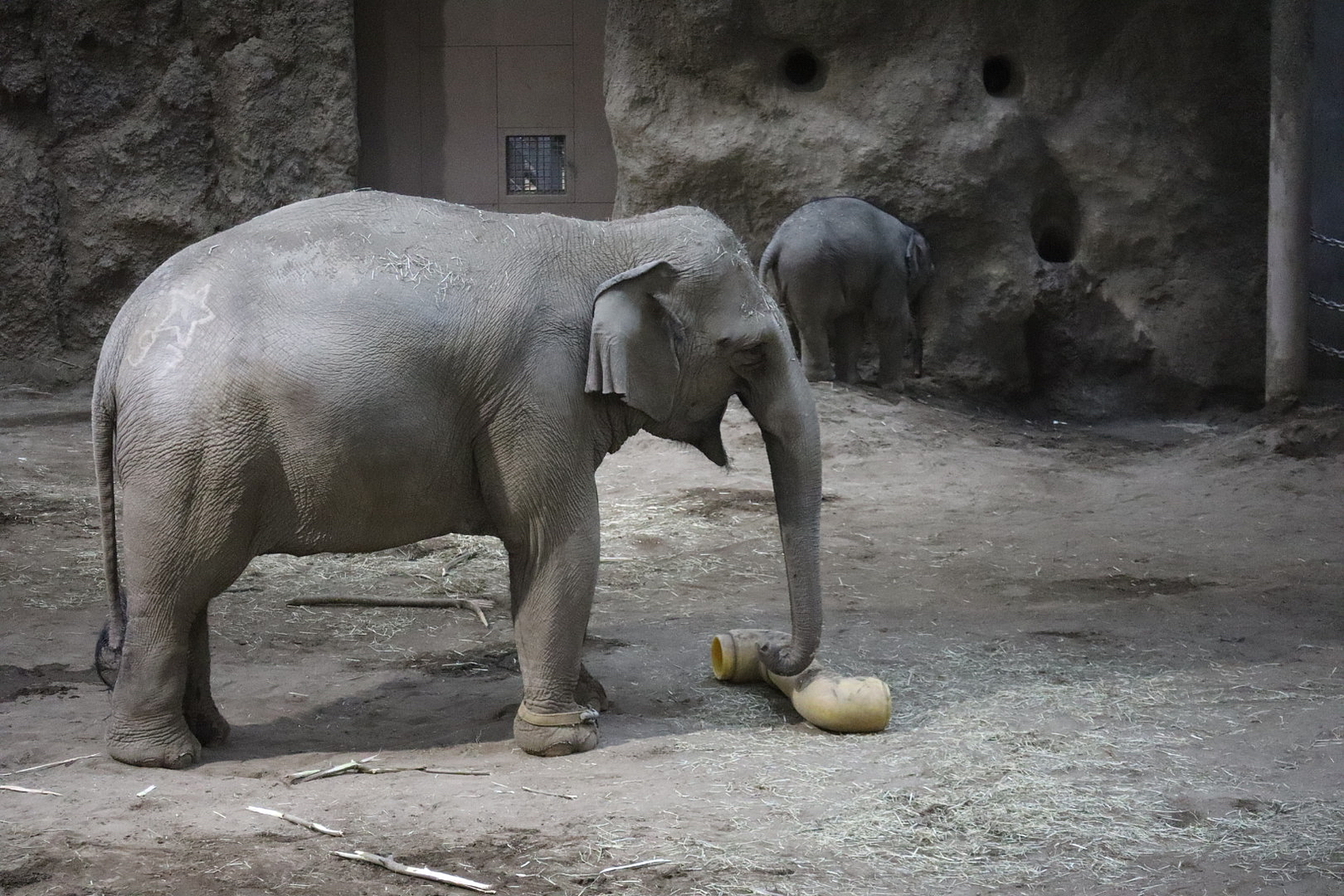 動物園好き道産子‼️