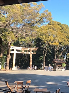 芸術や自然に触れよう♪