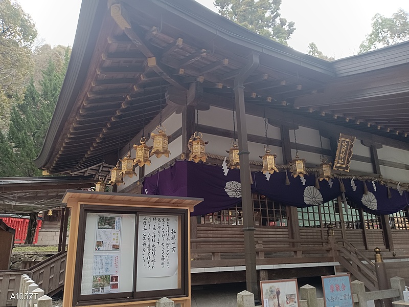 神社参拝サークル