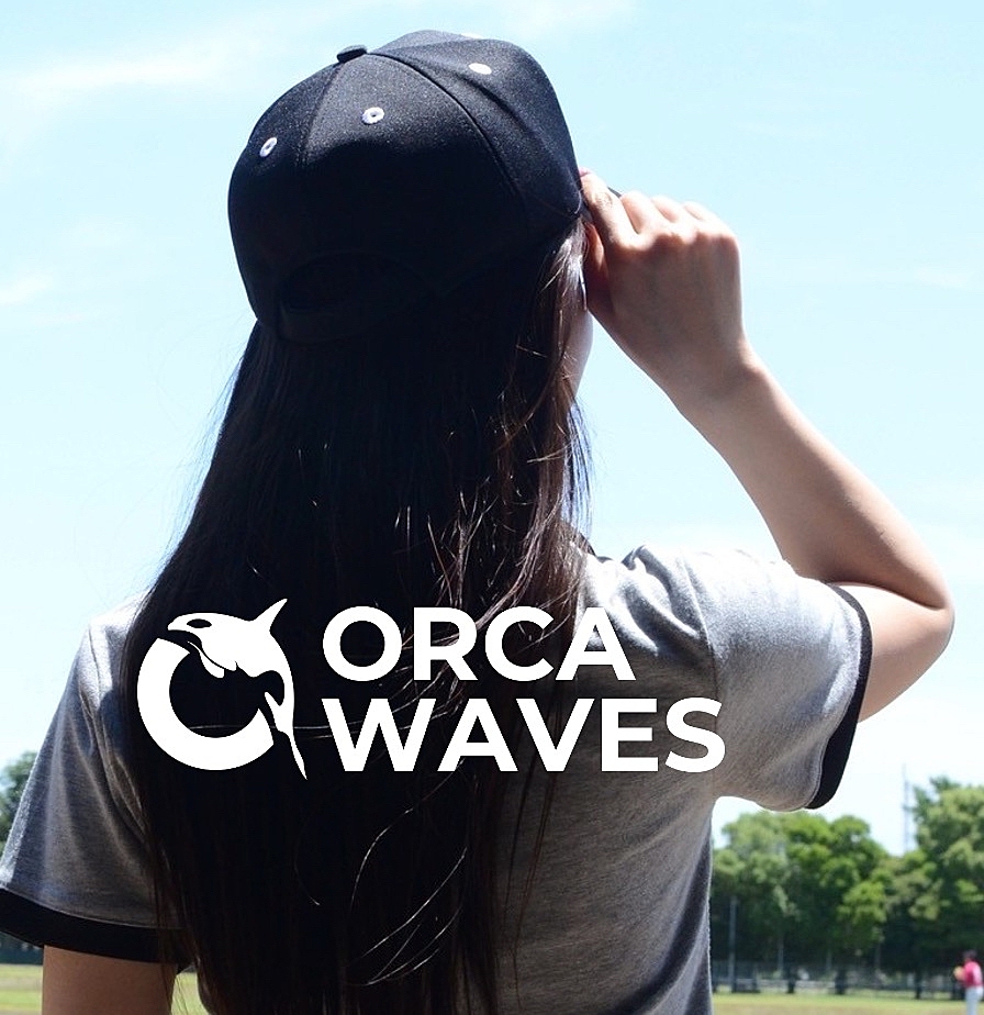 Orca Waves⚾️