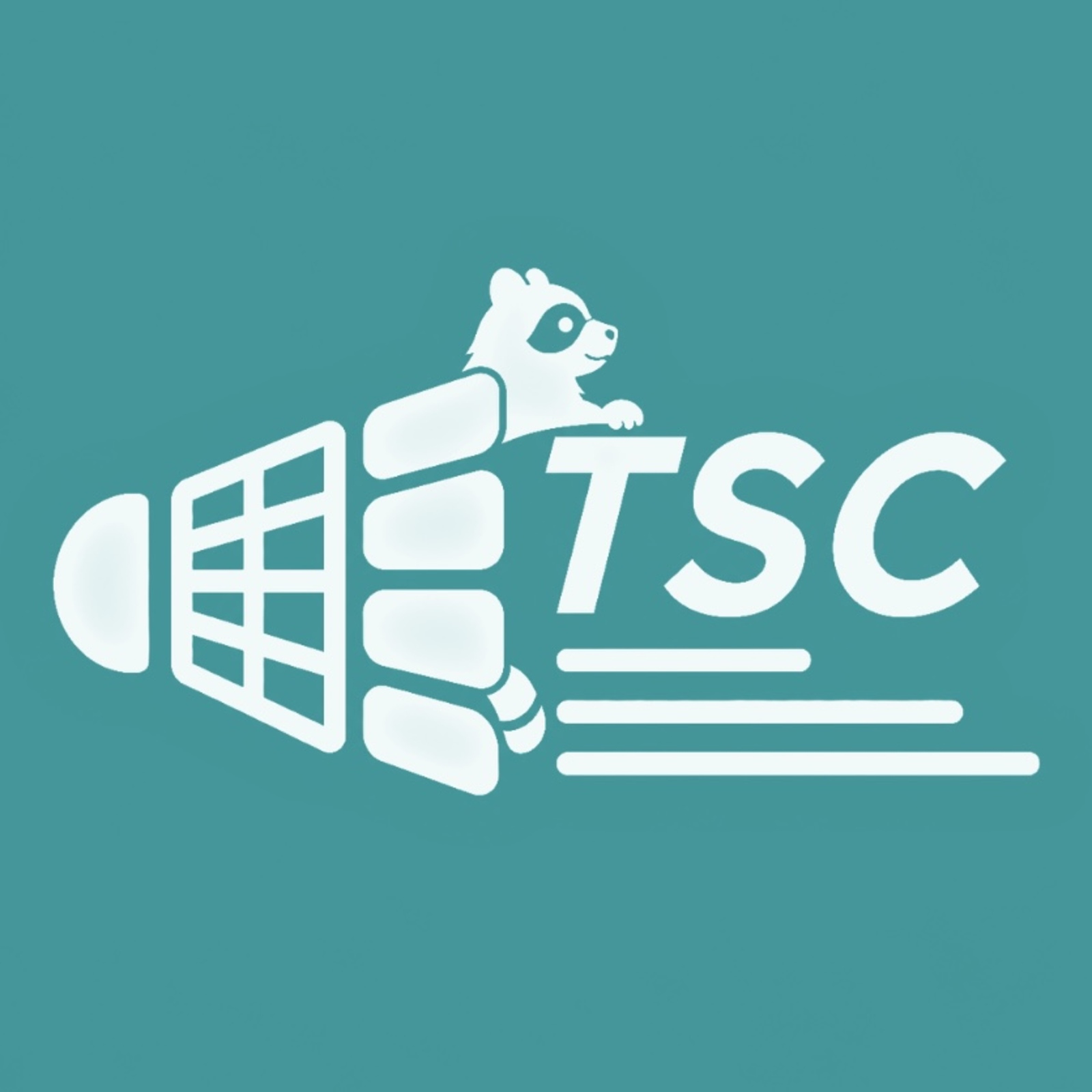東京20代バドミントンサークル｜TSC🏸