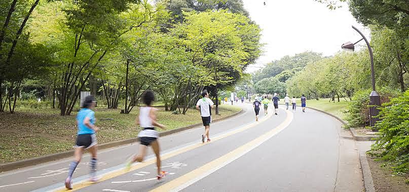 駒沢オリンピック公園を走りましょう！🏃‍♂️