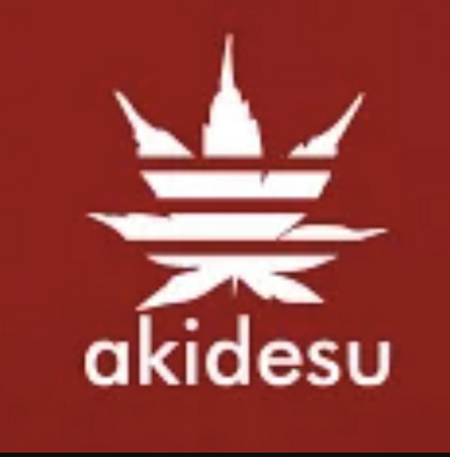 スノーボード「akidesu」