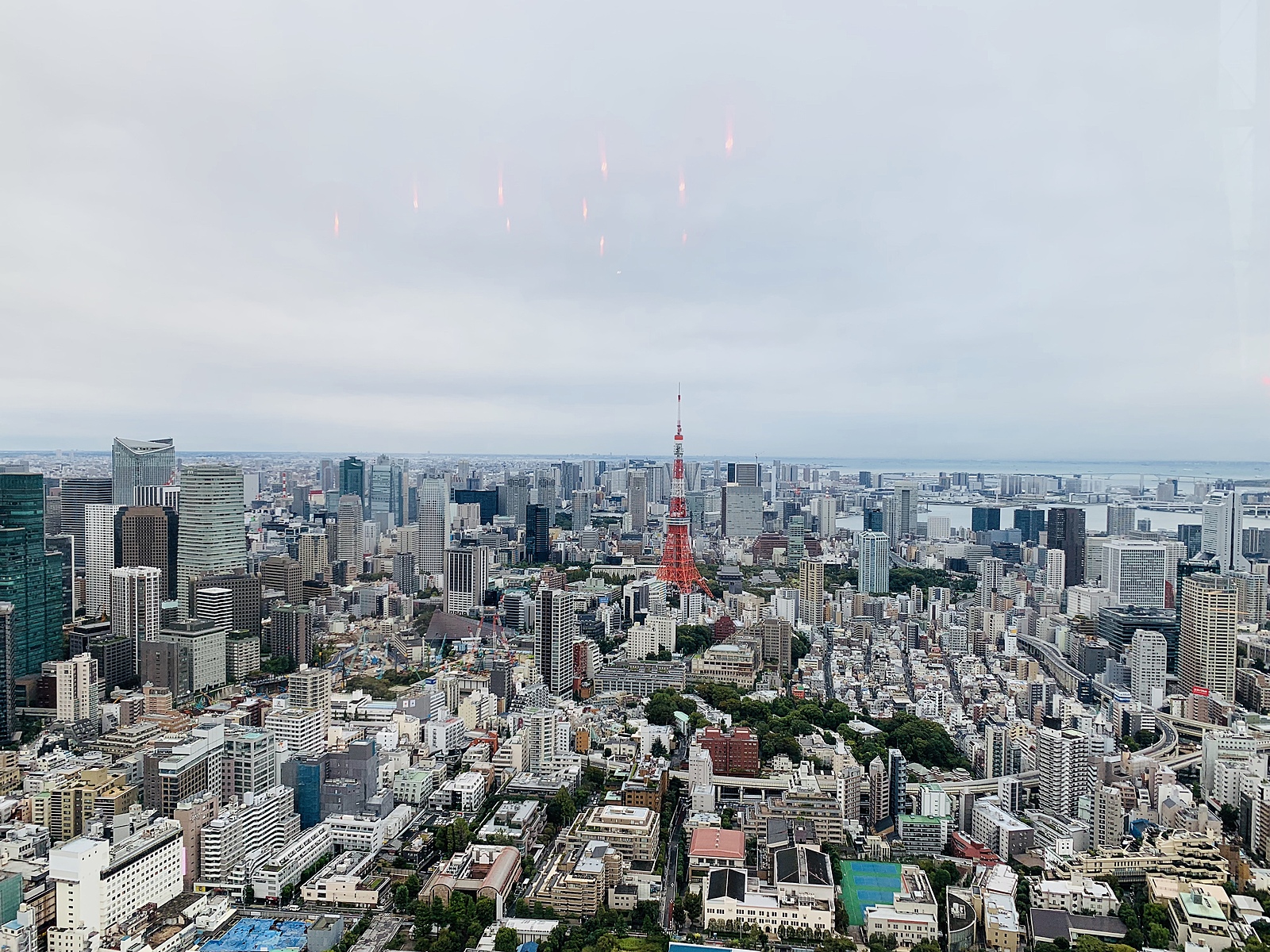 旅行交流会✨