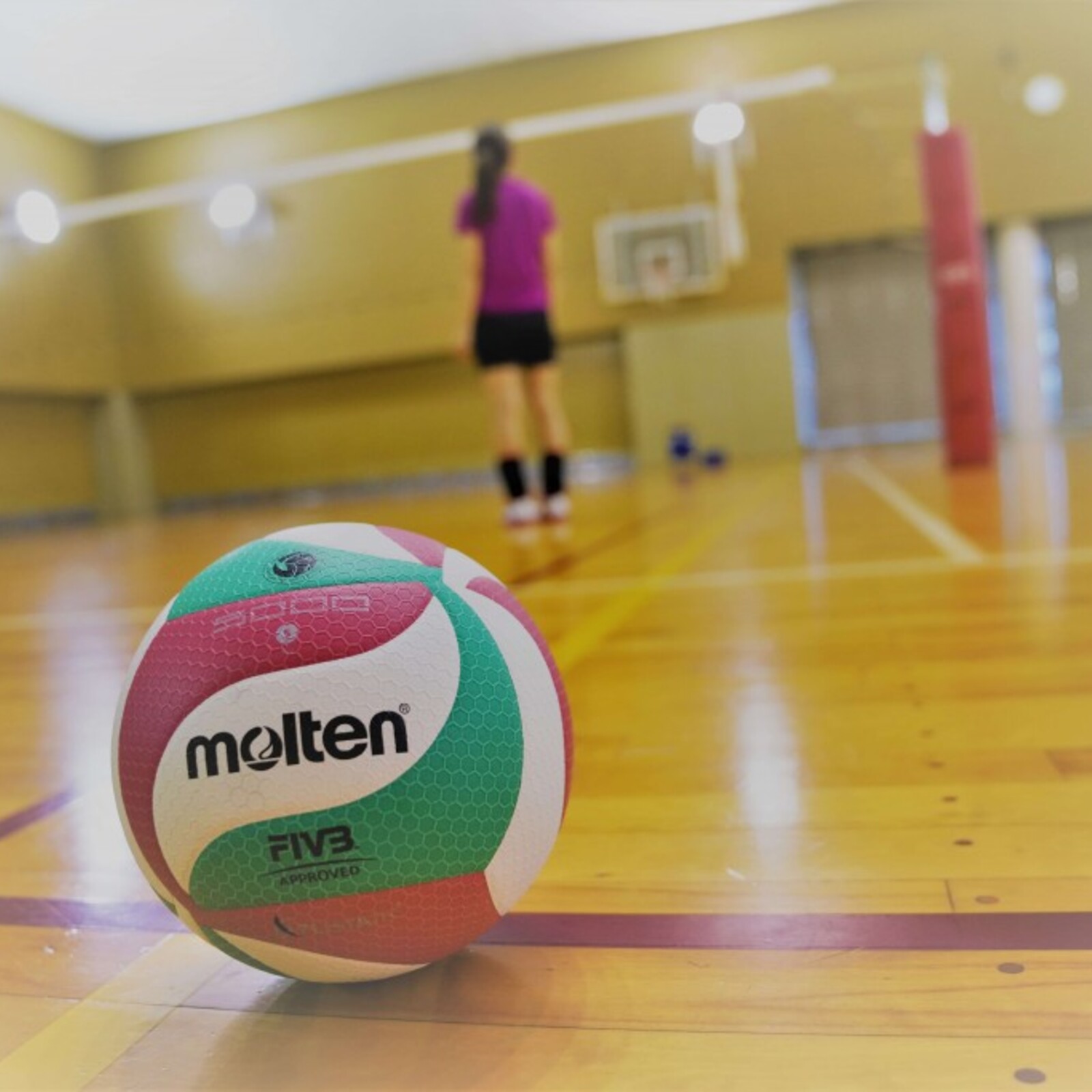 ゆるゆる🔰スポーツサークル🏓🏸🏐
