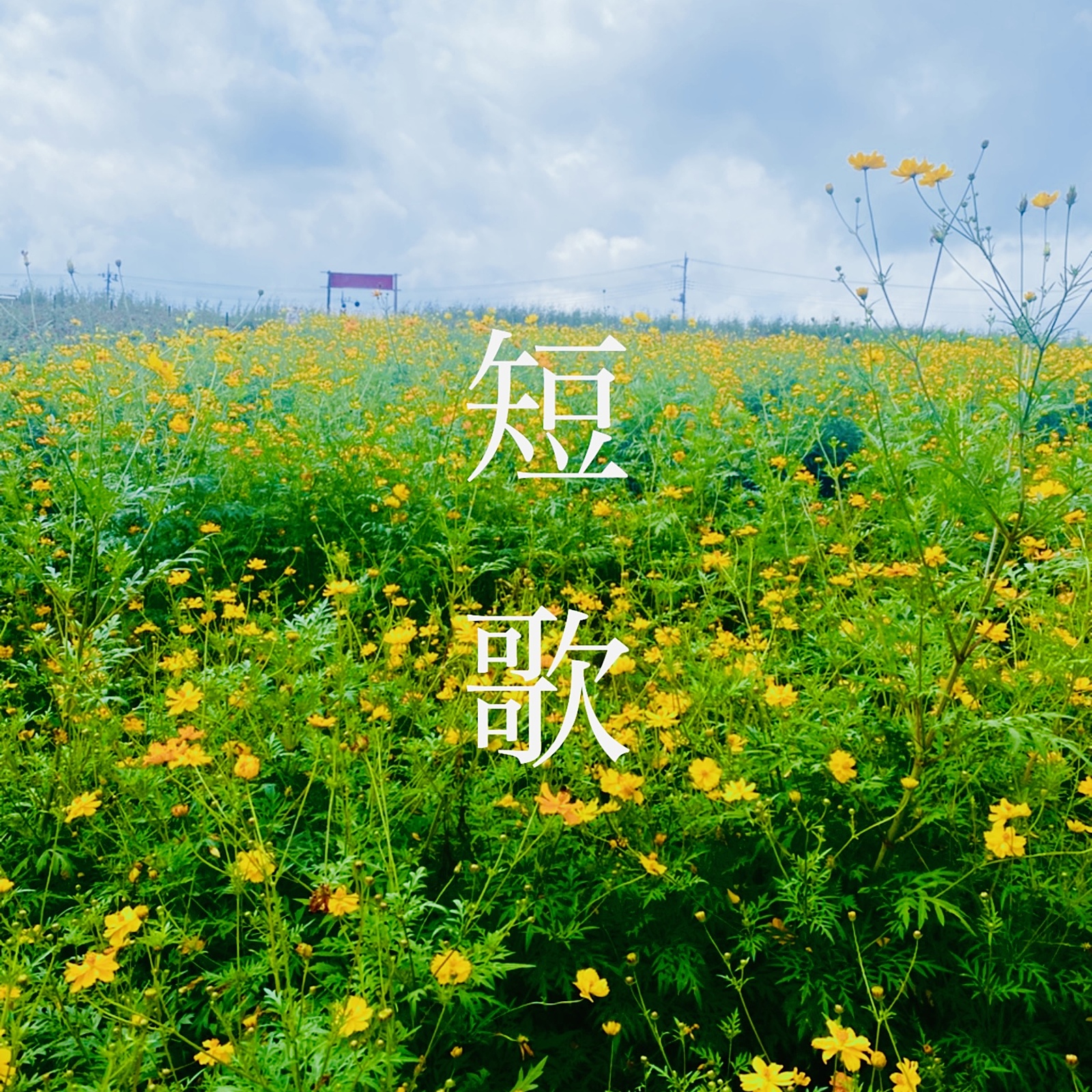 短歌会