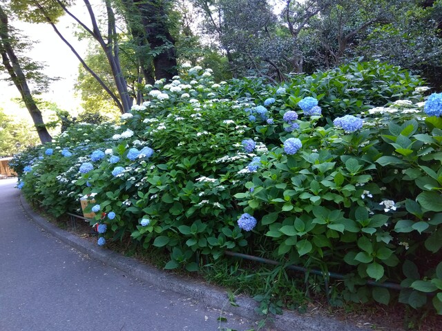 【初開催に向けて】←待ち合わせ場所を探しに