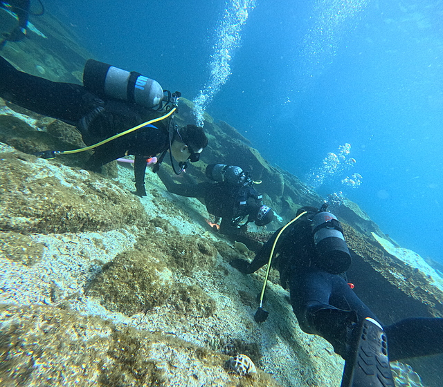 9月11日柏島ダイビングツアー行ってきました!