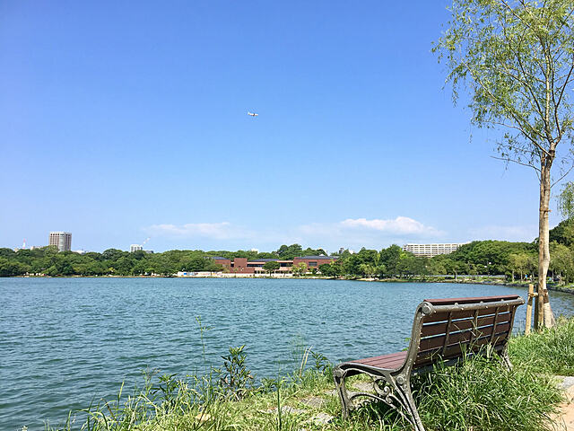 2024/11/3(土)おさんぽ会(朝さんぽ👟)