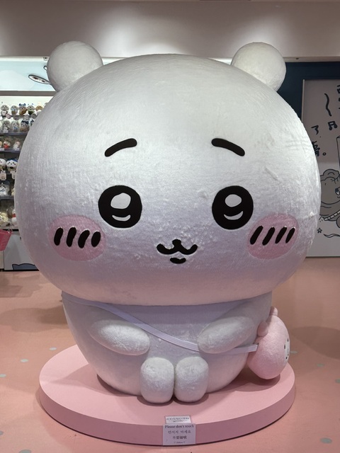 名前の由来
