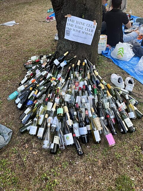 過去のお花見会