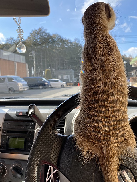 身体の不調を自ら整えられるように