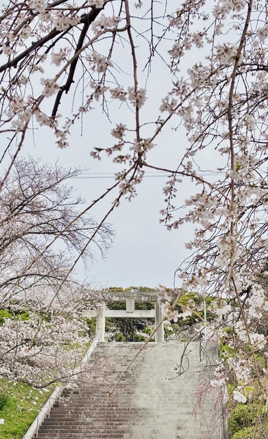 マルティンブーバー
「私はあなたによって私になる」