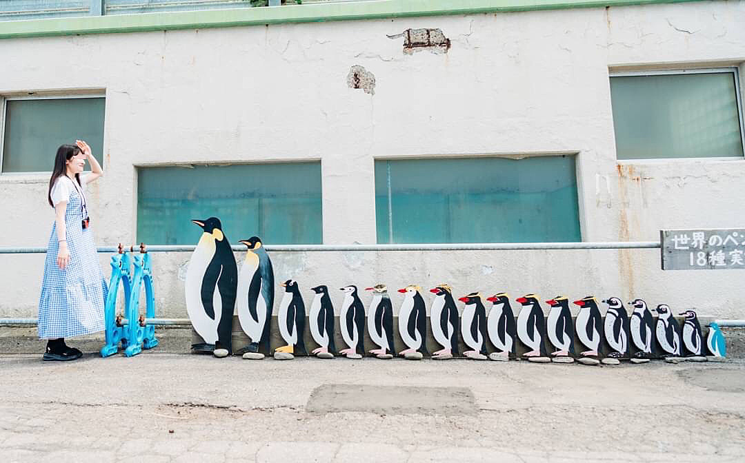 みんなで行こうおたる水族館🐧@小樽