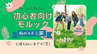 朝モルック【初心者向け🔰】＠代々木公園（20代～30代限定）
