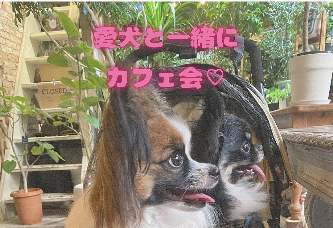 ワン友つくろう🐶愛犬と一緒にカフェ会♡