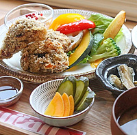 温かみのある自然食レストランに行こう🌿丨女性主催🐈