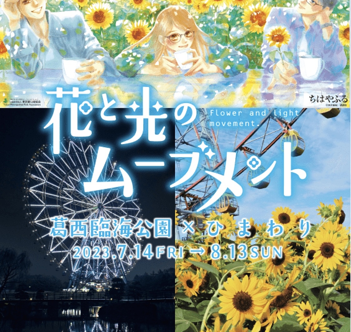 【先着5名無料】ひまわり畑のライトアップに行こう🌻