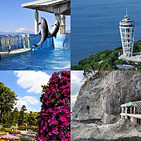 ゆったり江ノ島グルメ・観光旅！(カメラ好きもぜひ！) 