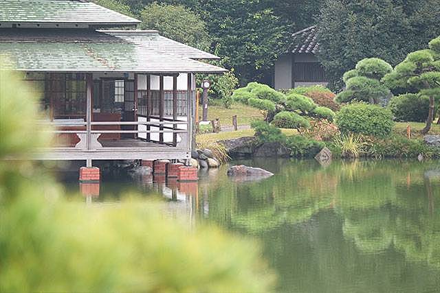 【先着4名無料】清澄庭園へ行こう🌺🌺