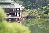 【先着4名無料】清澄庭園へ行こう🌺🌺