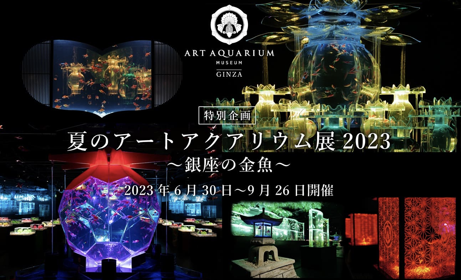 夏の風物詩の金魚アートを見にいこう！🎐