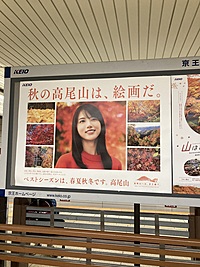 秋の高尾山へ行こう！新緑の秋へ