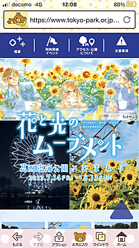 葛西臨海公園のひまわりを見に行こう