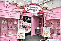 【先着4名無料】スイーツテーマパークに行ってみよう🏵️🏵️