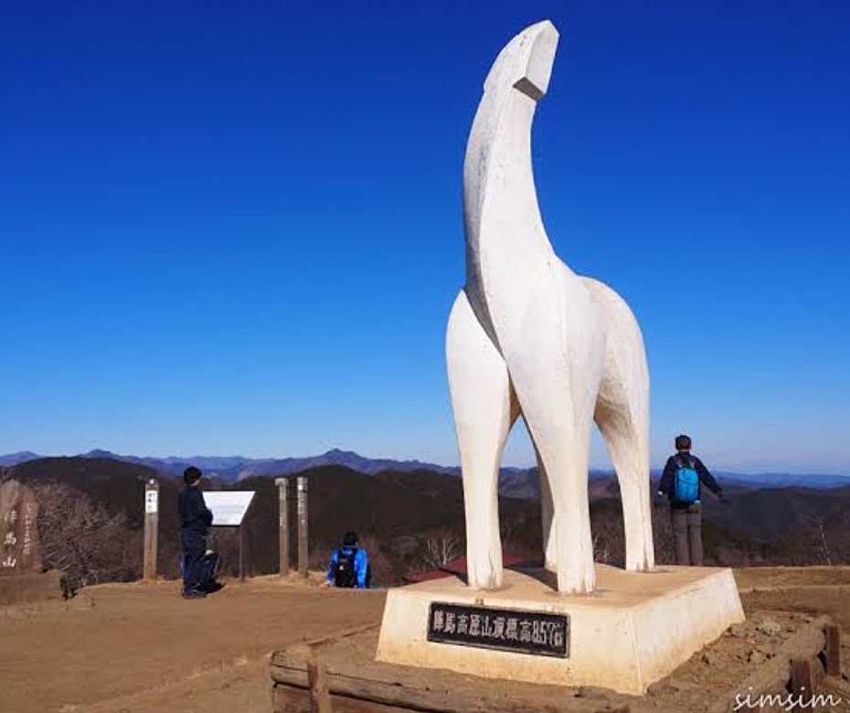 【陣馬山】圧巻の景色をみんなで楽しもう！