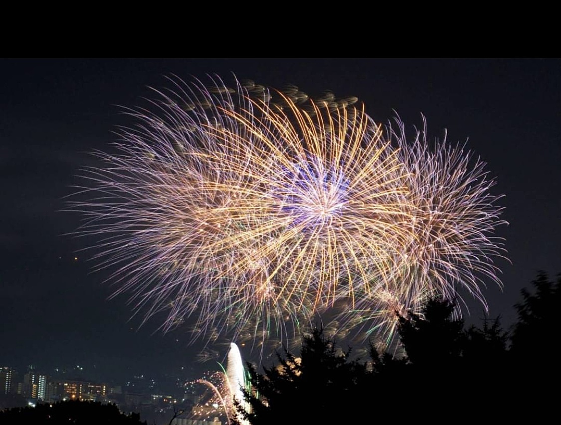 混んだけどやっぱり行ってよかった、潮まつり花火🎇