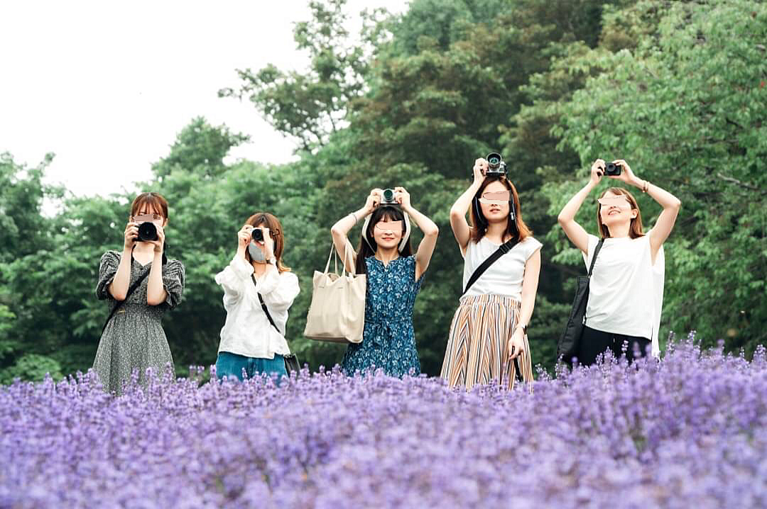 ラベンダー　お花ポートレートの会@幌見峠