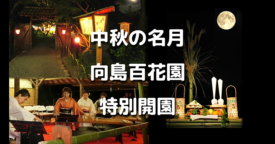 江戸時代から続く伝統行事「月見の会」で幻想的な夜の庭園で十五夜を楽しみます！茶会や箏の演奏もあります♪