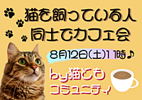 🐱猫を飼っている人同士でカフェ会☕️