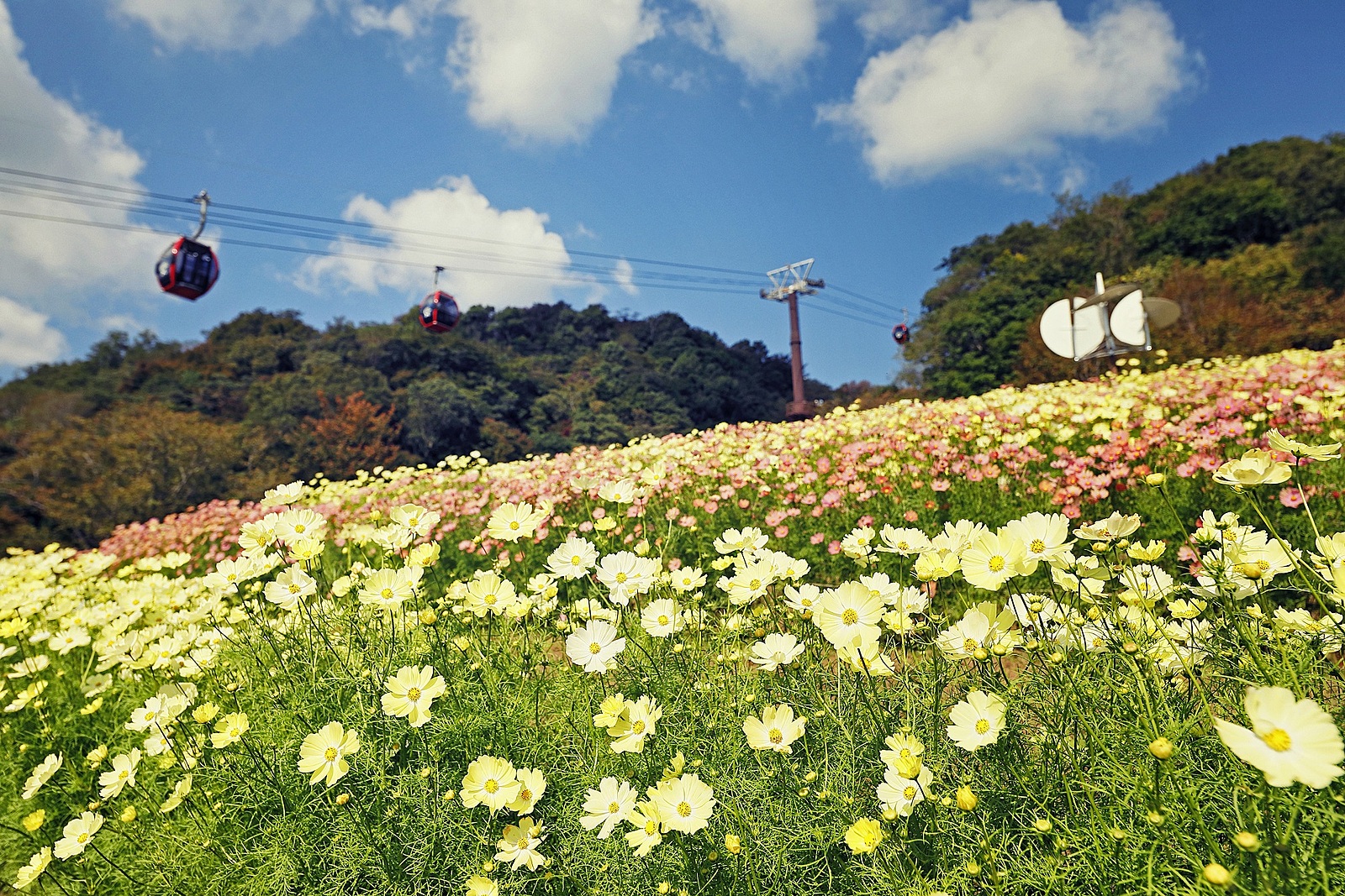 神戸ハーブ園【ロープウェイに乗って行きます♪】