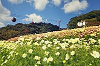 神戸ハーブ園【ロープウェイに乗って行きます♪】