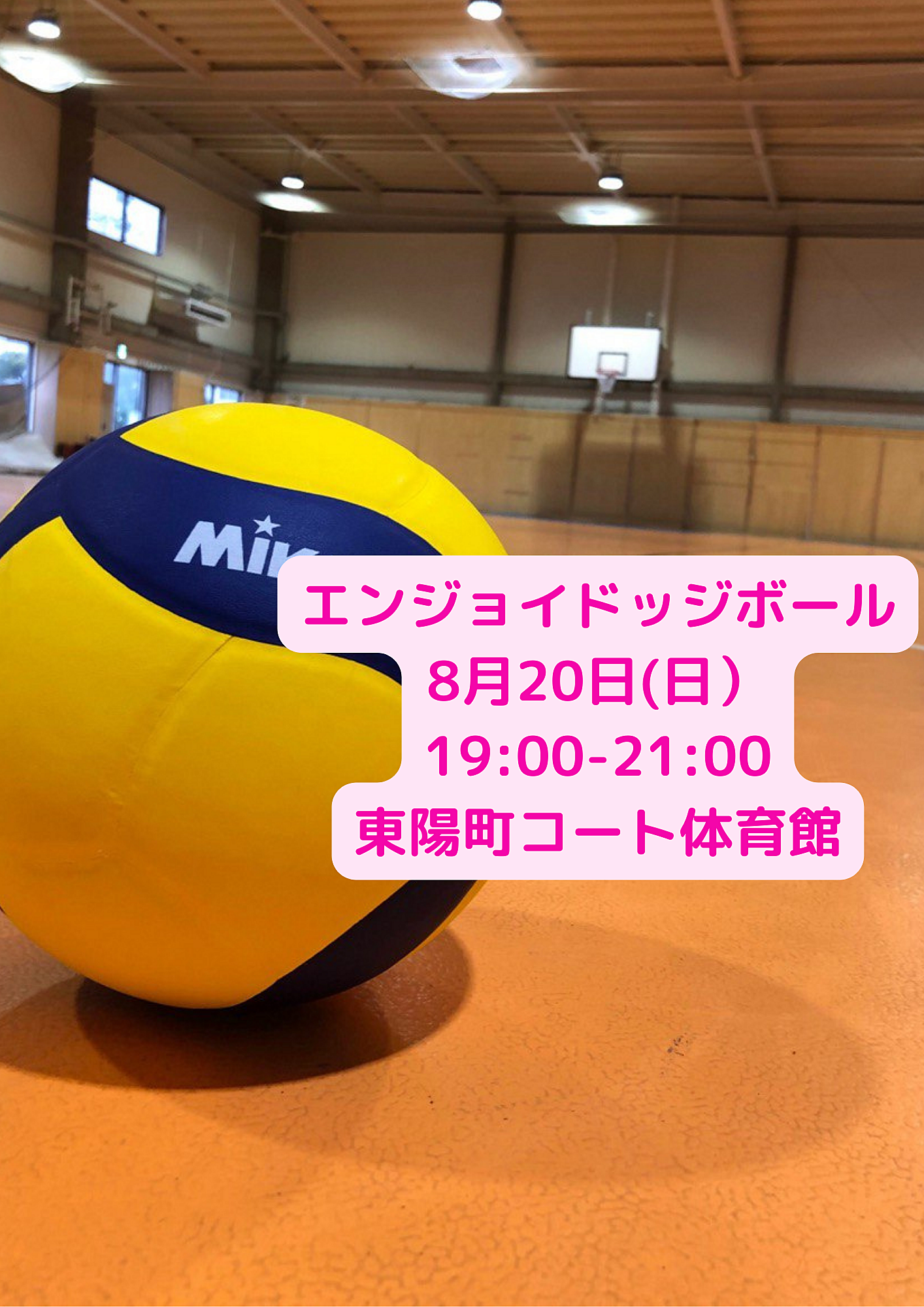 【平成生まれ限定】1人参加がほとんど♪女性に優しいエンジョイドッジボール🏐