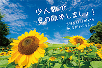 【大阪/長居公園】少人数で夏のお散歩&カフェ会